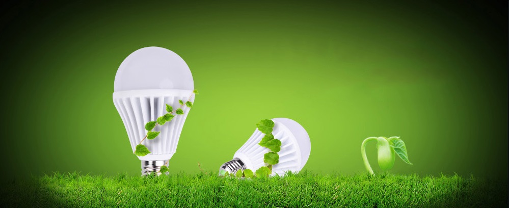 Đèn chiếu sáng Paragon có tốt không?